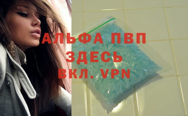 гидропоника Гусиноозёрск