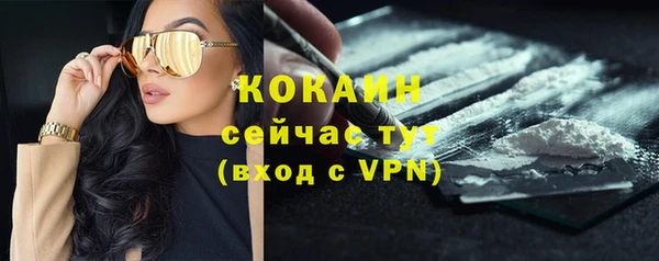 mdpv Горно-Алтайск