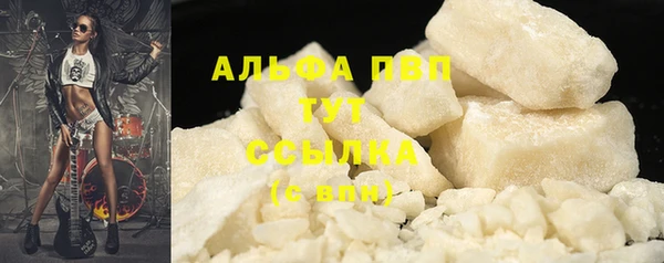 прущие крисы Горняк