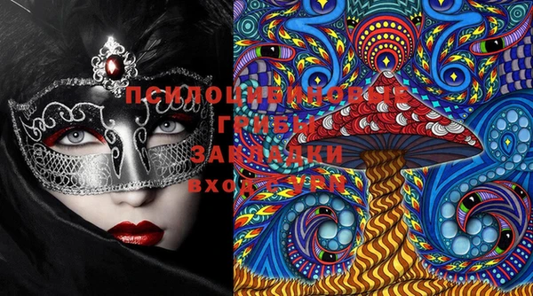 прущие крисы Горняк