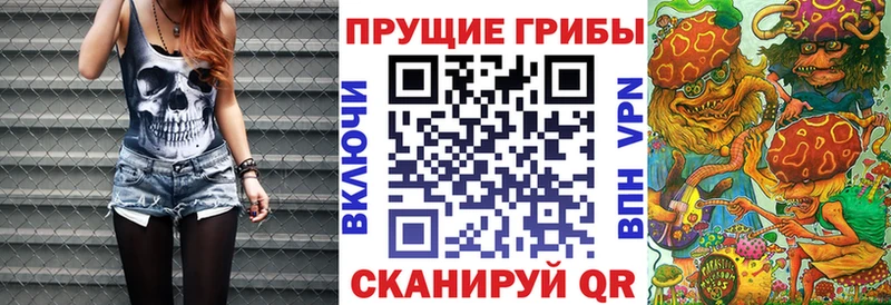 Псилоцибиновые грибы MAGIC MUSHROOMS  Заинск 