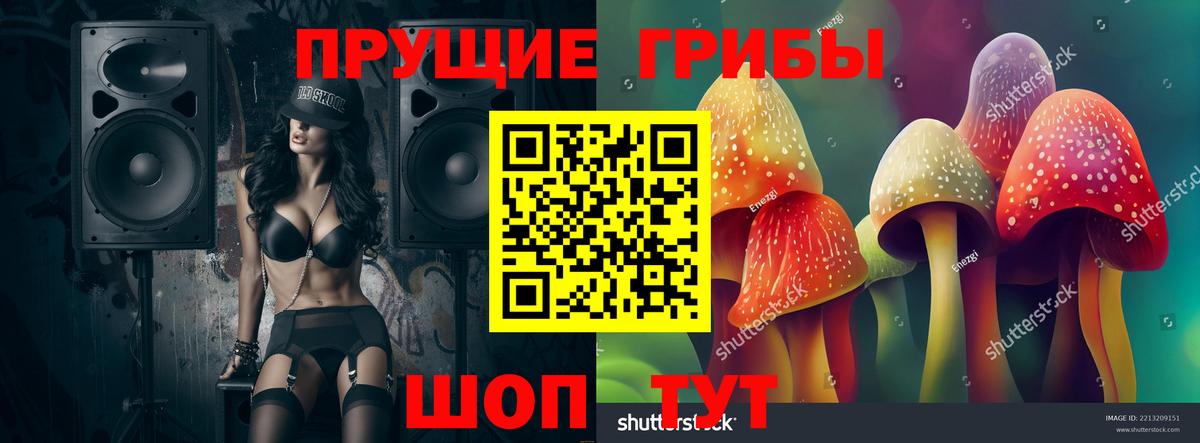 Псилоцибиновые грибы мицелий Заинск